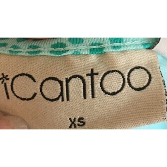 Icantoo Seafoam Green Size Extra Small Dress Women's Knee Length Dot Paisley NEW - Picture 9 of 9